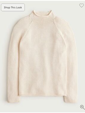 J. Crew Men’s 1988 Rollneck Sweater
